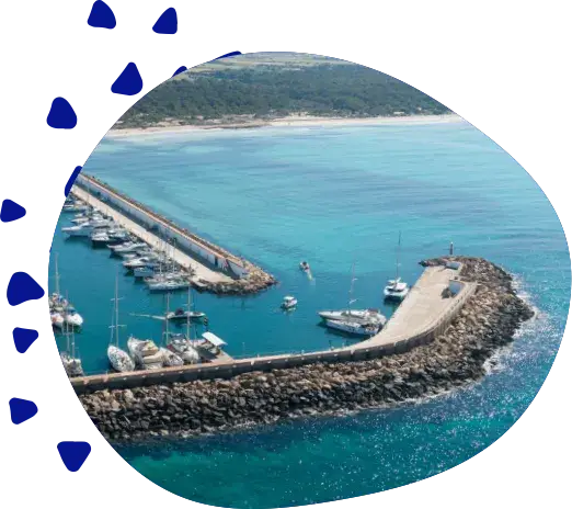 A harbor full of moored boats, seen from above