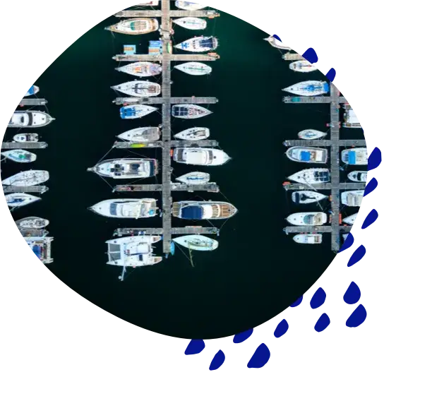 Rows of boats moored in a marina, seen from above