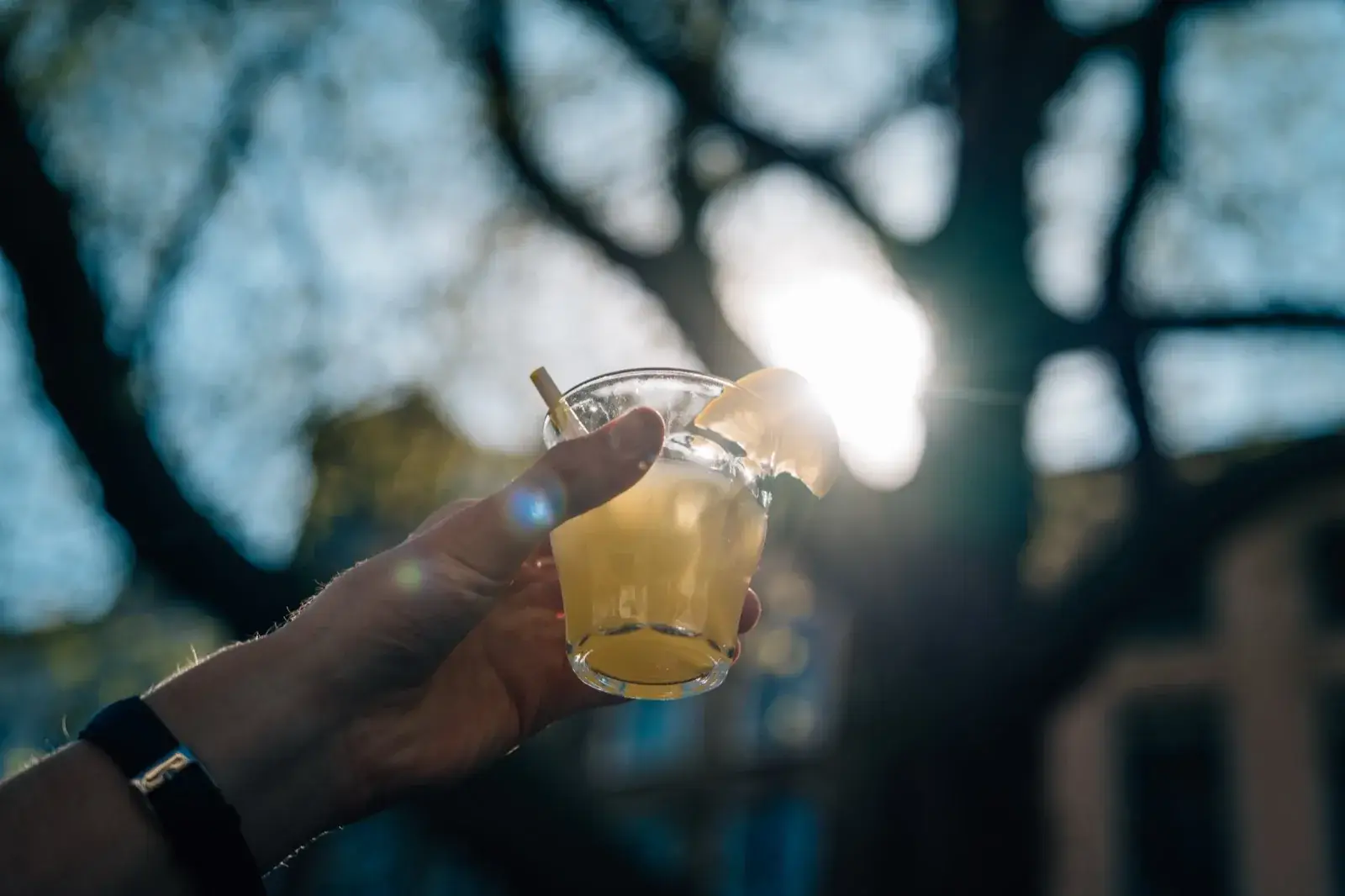 A hand holding up a glass with a slice of lemon against the sun, under the branches of a tree